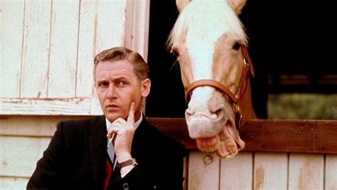  Mister Ed! A talking horse and mid-century Americana: A forgotten gem of 1960s television